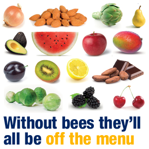 without_bees_they'd_all_be_off_the_menu